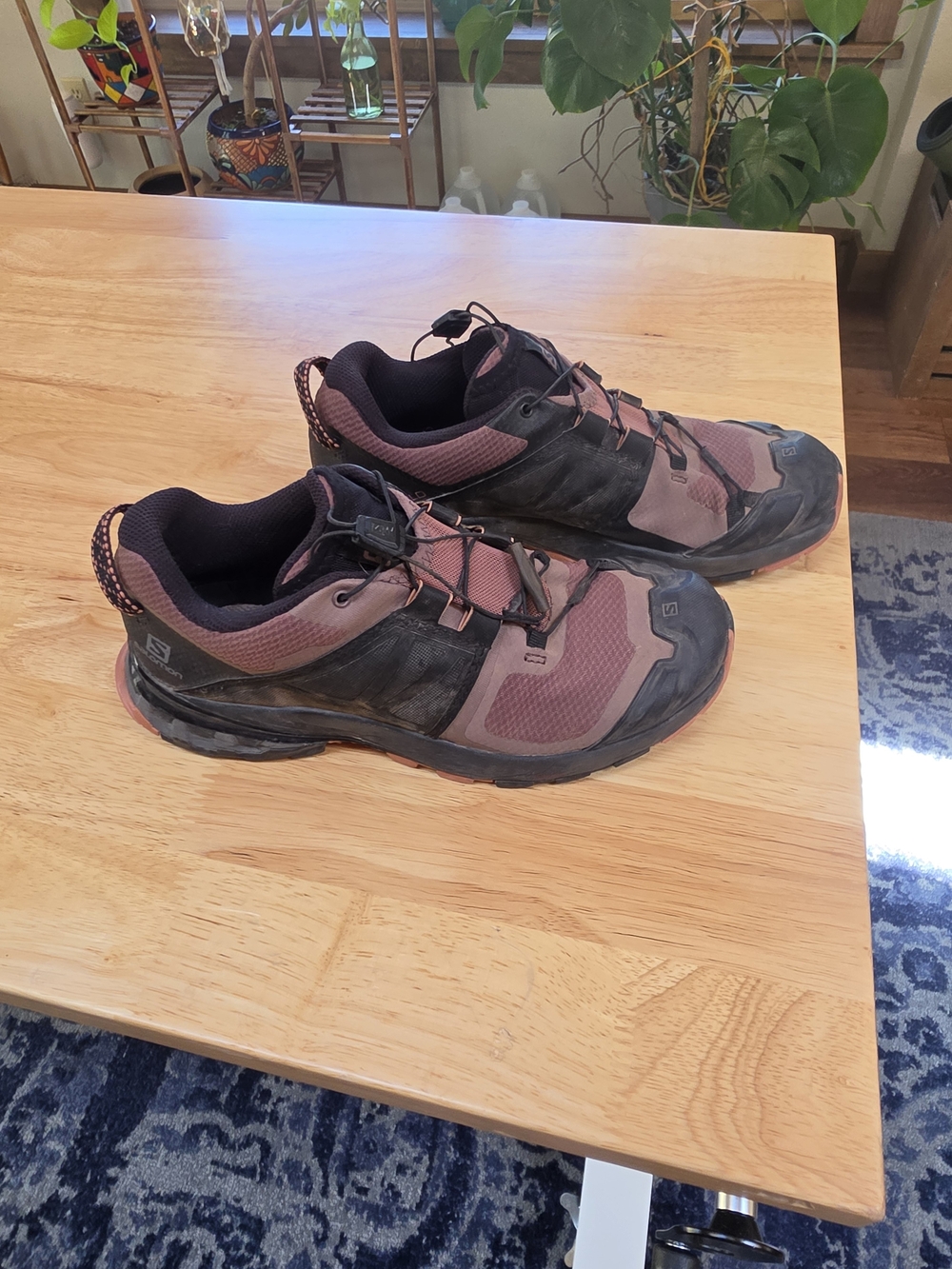 Salomon Trail Running Shoes in Plum/Black